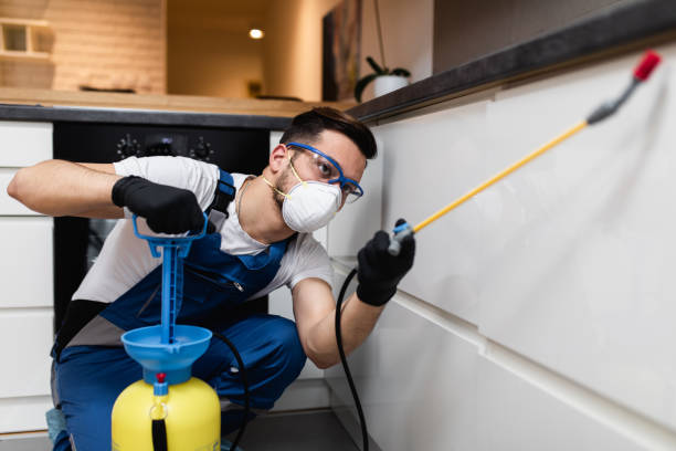 Best Pest Control Treatment  in Monroe Manor, NJ