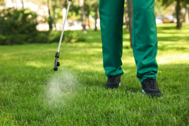 Best Termite Control Services  in Monroe Manor, NJ
