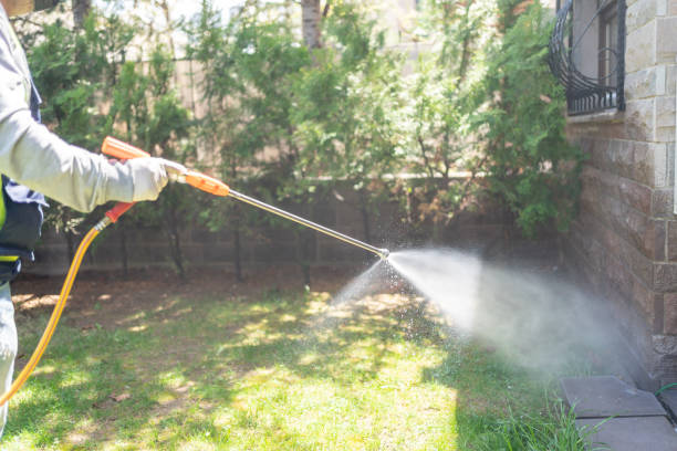 Best Wasp Removal Services  in Monroe Manor, NJ