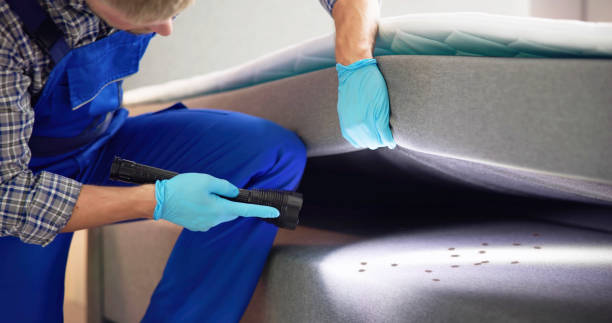 Best Rat Extermination Near Me  in Monroe Manor, NJ