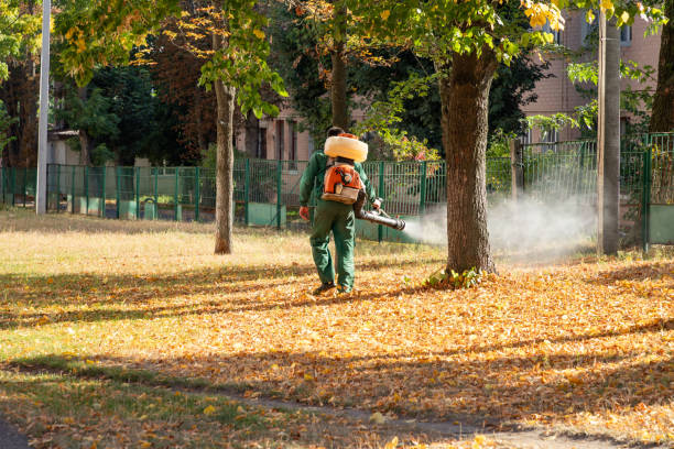 Best Local Pest Control Services  in Monroe Manor, NJ