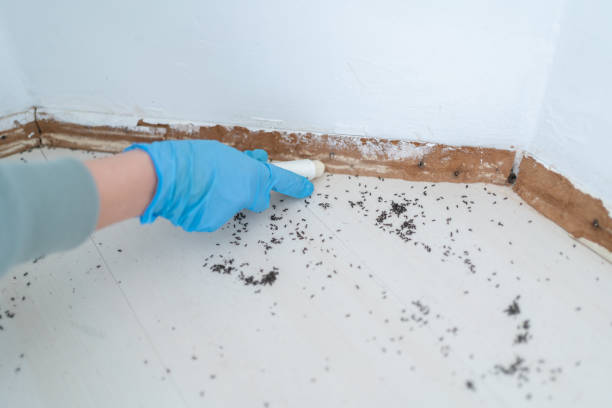 Best Wildlife Control Services  in Monroe Manor, NJ